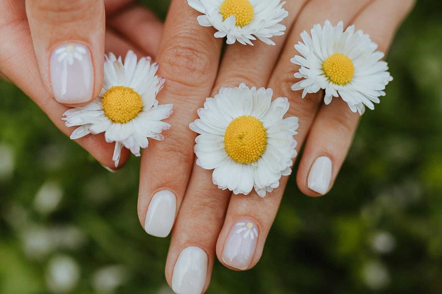 Hands with pastel nails holding small white daisies on a green background.